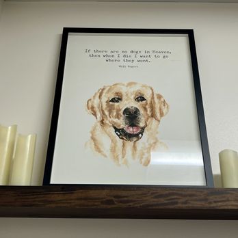 Veterinary Emergency Group - Emergency Pet Hospital Near Me - San Ramon, California Veterinary Emergency Group - Emergency Pet Hospital Near Me - San Ramon, California