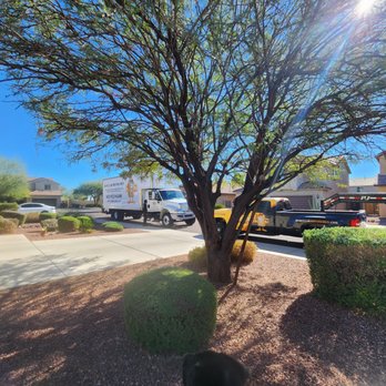 Public Storage - A suburban street scene featuring a large tree, bushes, and parked trucks, with clear blue skies and sunlight. - Self Storage Near Me - Phoenix, Arizona