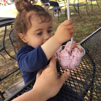 Ingram's Strawberries - Their amazing farm made strawberry ice cream did not disappoint - Fruits & Veggies Near Me - High Point, North Carolina