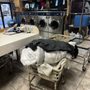 Family Laundromat