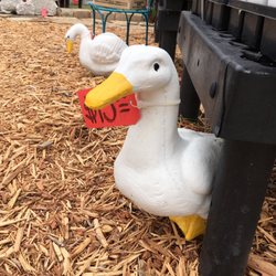 Pardner's Garden & Feed Store - Buying one!