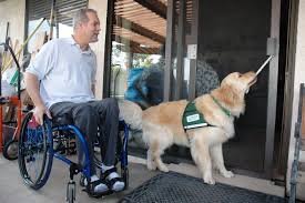 Jenkins Disability Specialists - disability attorney in Auburndale, FL