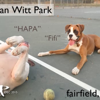 Allan Witt Park - "PLAY?!!!" (HAPA Boy making friends) - Parks Near Me - Fairfield, California Allan Witt Park - "PLAY?!!!" (HAPA Boy making friends) - Parks Near Me - Fairfield, California