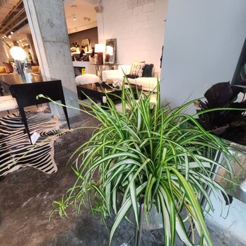 CB2 - Furniture Stores Near Me - Miami Beach, Florida