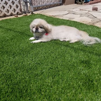 Turf the Earth - Artificial Turf Near Me Turf the Earth - Artificial Turf Near Me