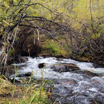 Creekside Rv Park - Creek along the campground, very soothing. - RV Parks Near Me - Bishop, California Creekside Rv Park - Creek along the campground, very soothing. - RV Parks Near Me - Bishop, California