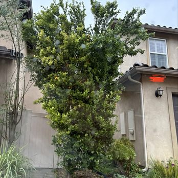 Eder Tree Service and Lawn Maintenance - Tree Services Near Me Eder Tree Service and Lawn Maintenance - Tree Services Near Me