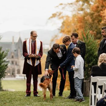 Two Sweet Sparrows - Wedding Planning Near Me