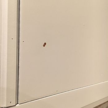 Cabinets, Countertops, Flooring - Chipping shortly after paint. - Flooring Near Me - Austin, Texas Cabinets, Countertops, Flooring - Chipping shortly after paint. - Flooring Near Me - Austin, Texas