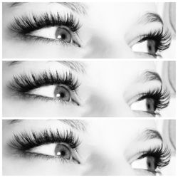 LASH Envy