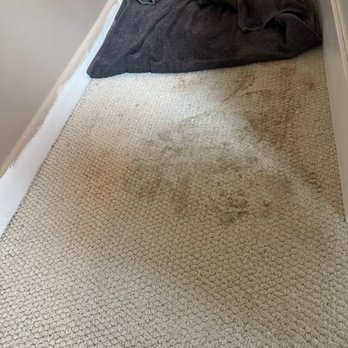 The assembly men - Paint footprints all over the carpet. - The image depicts a beige, textured carpet with visible dirt and stains, particularly in the area close to a doorway. A pile of dark towels or clothing is placed on the carpet near the wall, with some fabric extending onto the carpet. The scene appears to be in a residential interior, with a portion of a wall and door frame visible. - Furniture Assembly Near Me