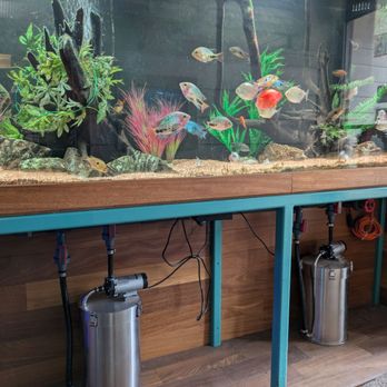 Aquarium City - You can buy salt water or fresh water here - I bought one gallon of salt water at $1.50 - Aquarium Services Near Me - Canoga Park, California