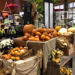 Thies Farm & Greenhouses