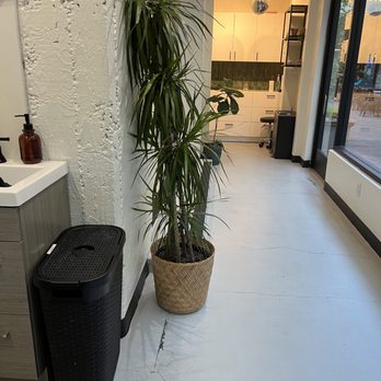 August and Ivy Salon - Super clean and tidy. - Hair Salons Near Me - Orinda, California
