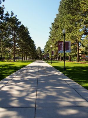University of Montana by null