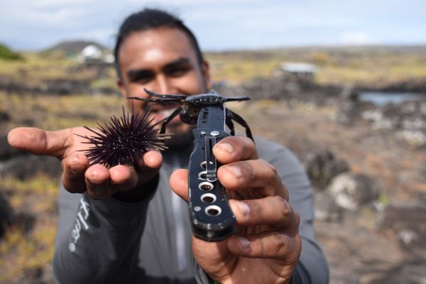 Explora Patagonia Torres del Paine by null Explora Patagonia Torres del Paine by null
