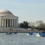 Photo of Tidal Basin Paddle Boats
