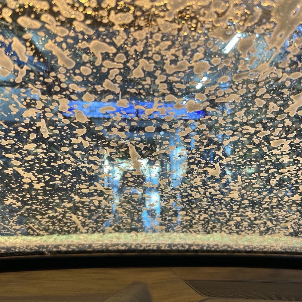 FREE car wash today for national car wash day FREE car wash today for national car wash day