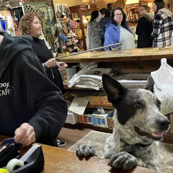 Scranberry Coop - The staff is so doggone fantastic