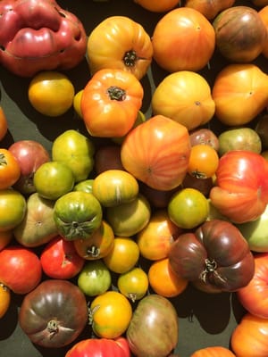 Bixby Park Local Harvest Farmers Market by null
