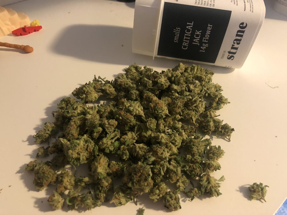 Canna Provisions Lee 27 Photos 23 Reviews Cannabis Dispensaries 2 Housatonic St Lee Ma Phone Number Yelp