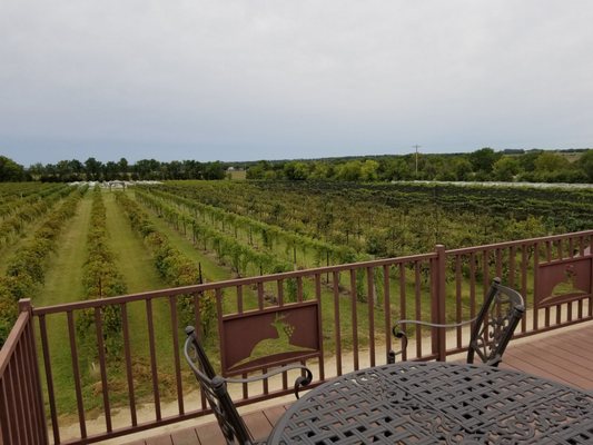 Grace Hill Winery by null