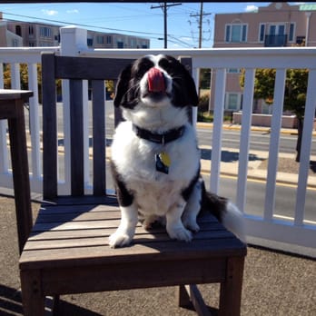 Atlantic Oceanside Dewey Beach Resort - On the roof deck! - Resorts Near Me - Dewey Beach, Delaware