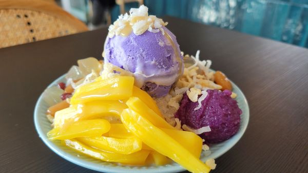Shop Halo Halo by null