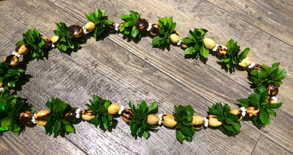 MAUIGOGIRL Updated March 2024 Kahului, Hawaii House Sitters