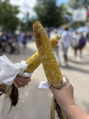 Minnesota State Fair by null