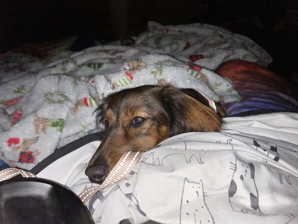 Poa Spay - social services organization in East Hartford, CT