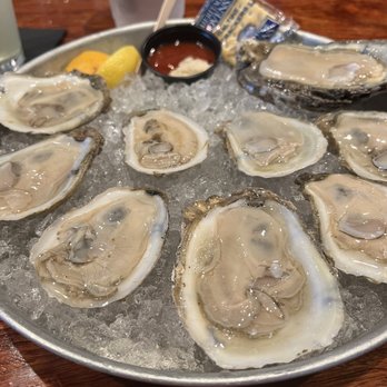 Mama's on the Half Shell - Delaware Bay - Bars Near Me - Baltimore, Maryland Mama's on the Half Shell - Delaware Bay - Bars Near Me - Baltimore, Maryland