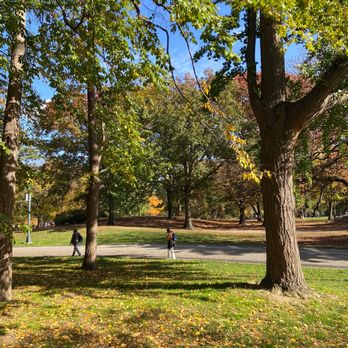 Central Park Conservancy - Parks Near Me - New York, New York Central Park Conservancy - Parks Near Me - New York, New York