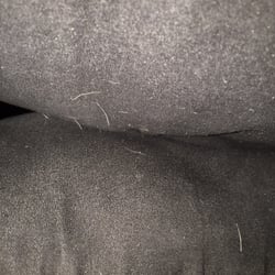 Fred Holland Realty - Pet hair all over all pillows