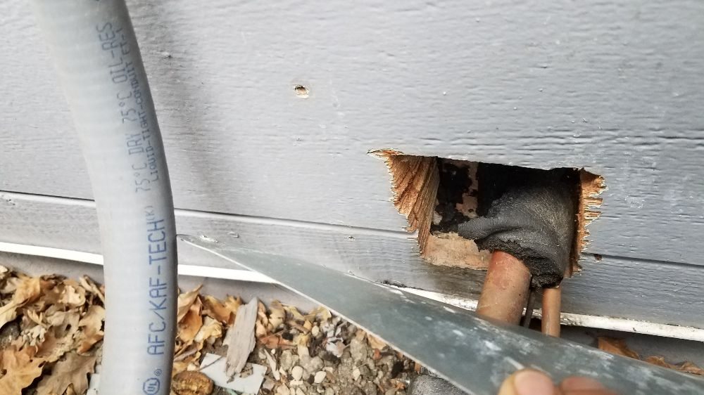 RAT TRAPPERS RODENT PROOFING Updated July 2024 44 Photos & 52