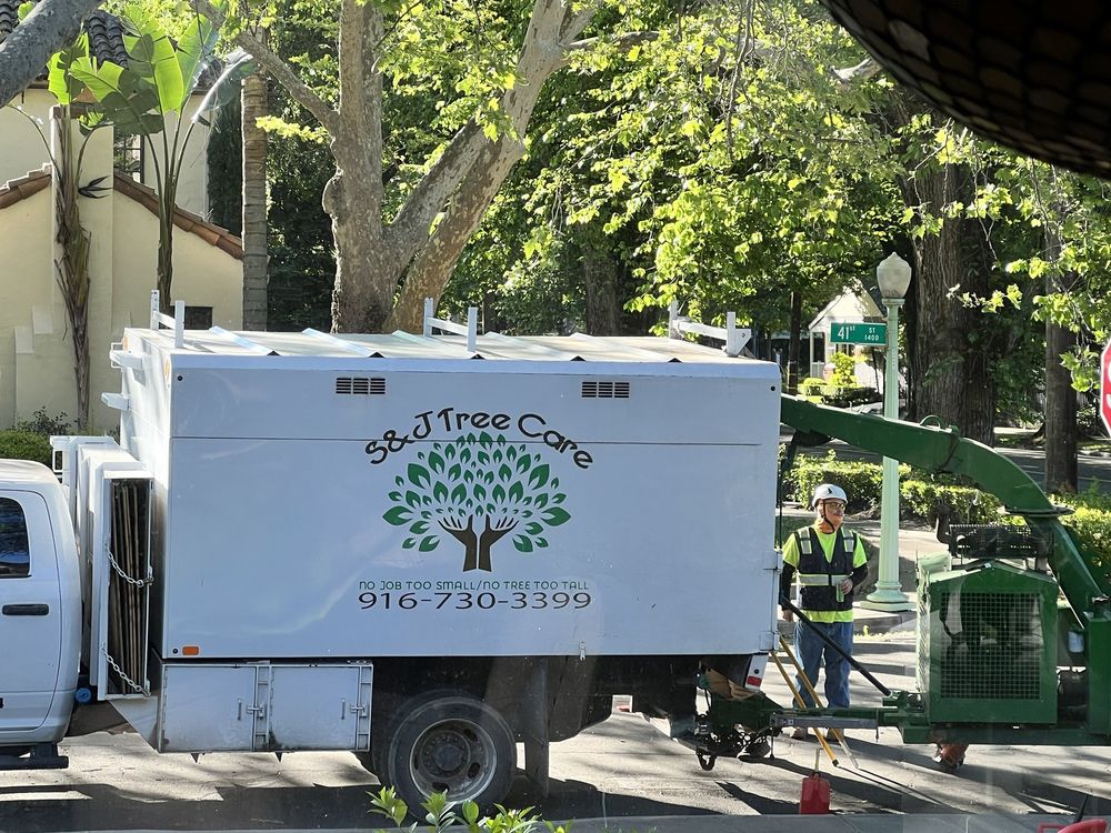 S&J Tree Care - tree service in Sacramento, CA
