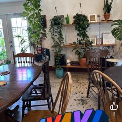 Roots Plants Coffee