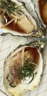 Keisuke Matsushima by null