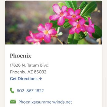 Desert Horizon Nursery - Phoenix - Nurseries & Gardening Near Me - Queen Creek, Arizona Desert Horizon Nursery - Phoenix - Nurseries & Gardening Near Me - Queen Creek, Arizona