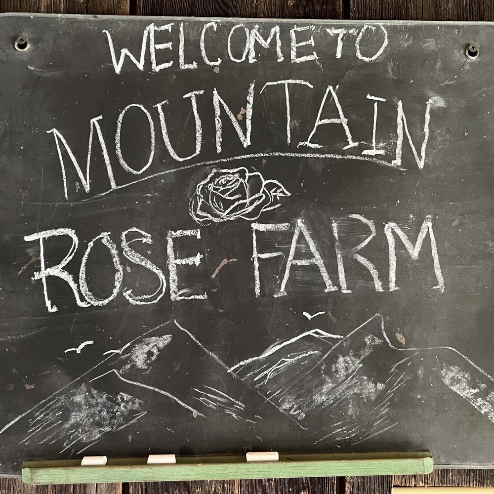 Mountain Rose Farm - Horseback Riding Near Me - Savona, New York Mountain Rose Farm - Horseback Riding Near Me - Savona, New York
