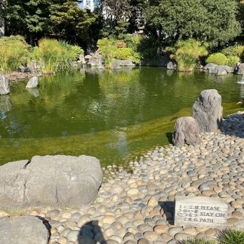 Japanese Gardens - Parks Near Me - San Mateo, California Japanese Gardens - Parks Near Me - San Mateo, California
