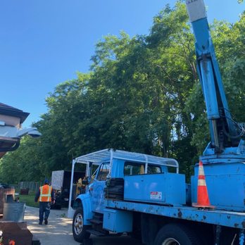Charlie’s Tree Service - Tree Services Near Me - West Chicago, Illinois Charlie’s Tree Service - Tree Services Near Me - West Chicago, Illinois