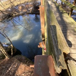 White Pines Forest State Park