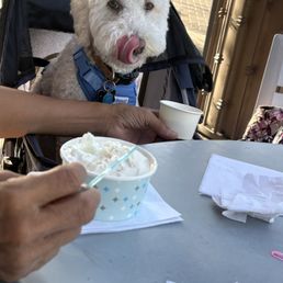 Dog approved! Dog approved!