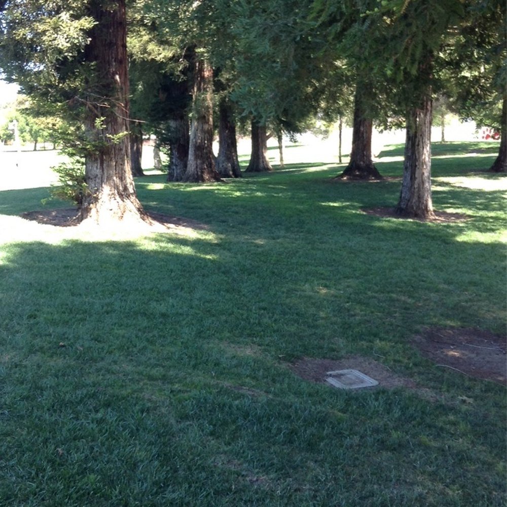 Mankas Park - Nice shaded area for picnics or taking a break - Parks Near Me - Fairfield, California Mankas Park - Nice shaded area for picnics or taking a break - Parks Near Me - Fairfield, California