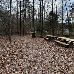 Cedar Mountain Battlefield - Picnic tables near the visitor center
