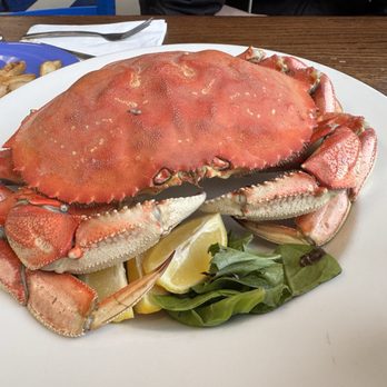 Ocean Bleu At Gino's - Whole steamed crab - Seafood Near Me - Newport, Oregon Ocean Bleu At Gino's - Whole steamed crab - Seafood Near Me - Newport, Oregon