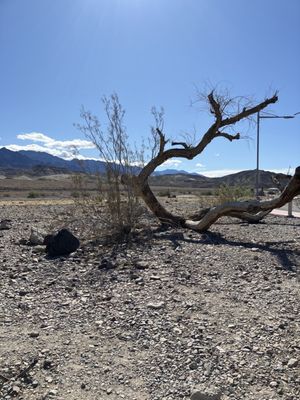 Furnace Creek Visitor Center by null