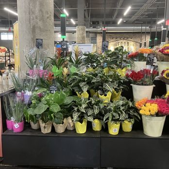Bridge Street Market - Fall plants - Grocery Near Me - Grand Rapids, Michigan