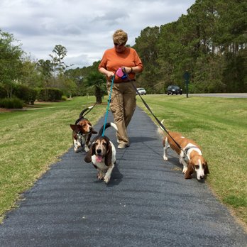 Who Walks Your Dog - Ask about our multiple walk rates! - Dog Walkers Near Me - Mount Pleasant, South Carolina Who Walks Your Dog - Ask about our multiple walk rates! - Dog Walkers Near Me - Mount Pleasant, South Carolina